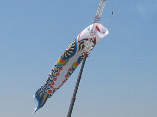 g債ʐ^ʂĂ܂FNbNƌɖ߂܂