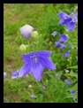 �L�L���E