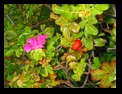�n�}�i�X
