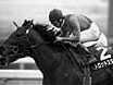 Trot Star