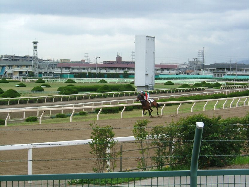 返し馬
