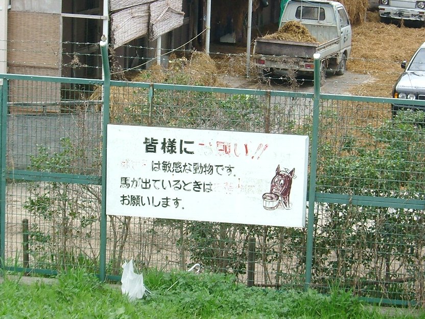 うるさいのは、やぁよ。
