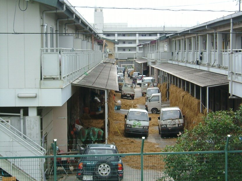 厩舎