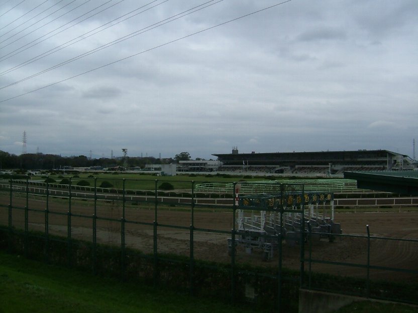 園田競馬全景