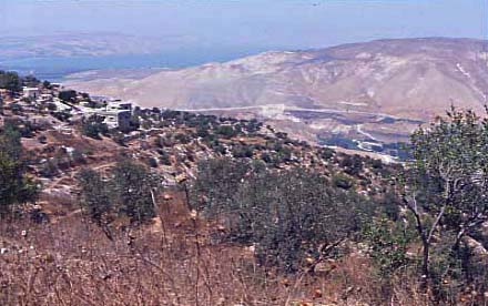 �N���b�N���Ă�