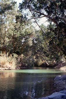 �����_����