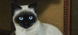 tabidachi.jpg