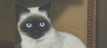 tabidachi.jpg