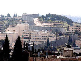 �x�^�j�A�̒��𕪒f����Xm�̕�