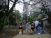 hanami6