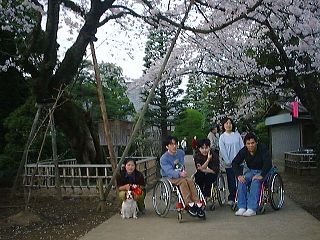 Hanami6