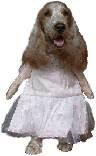 ~E