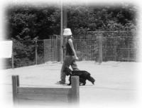 �R�t�r���s�i