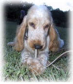 ���������`