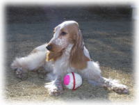 ����V����