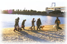 �Q�ł��ۂ̂��U��