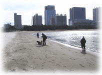 �S�[���h�R�[�X�g�H