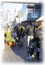 ������s��