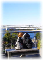 �G�ɂȂ�ӂ���