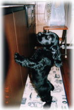 ����Q����