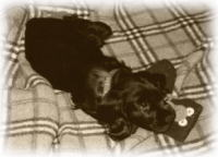 ����T�R��