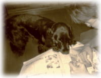 ���������H