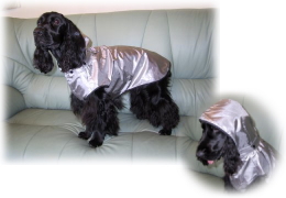 �\�[���[�R�[�g