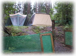 �L�����v�T�C�g