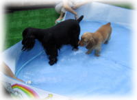 �{�[���ɂ���