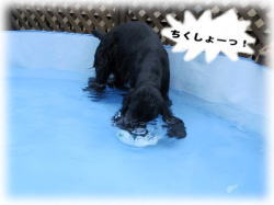 ��������[��