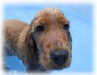 �A�N�A�Ł`���I