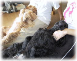 �������H