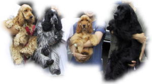 �y���������I