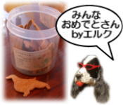 GNNbL[