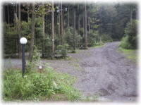 TCg