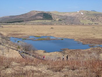 八島ケ原湿原