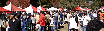 私のカントリーフェスタ会場...人人人&犬犬