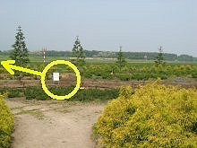 こんな所まで嫌な世の中だ!