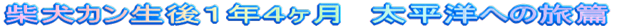 ČJPNS@mւ̗с@