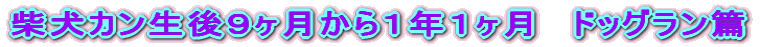 ČJXPNP@hbOс@