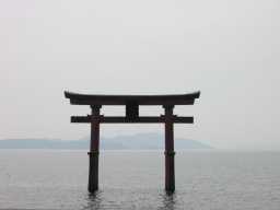颐_