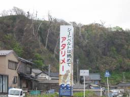 A^I