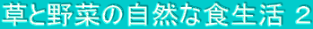 Ɩ؂̎RȐH Q
