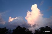夕日に染まる入道雲