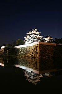 岸和田城夜景の写真