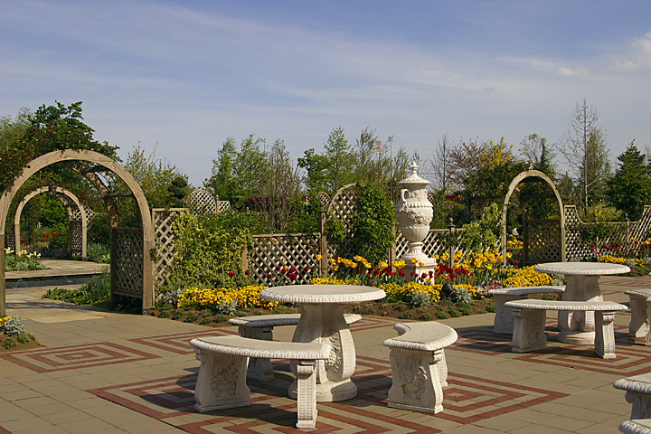 IMG06_7084.jpg