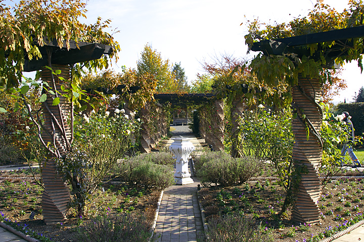 IMG11_1716.jpg