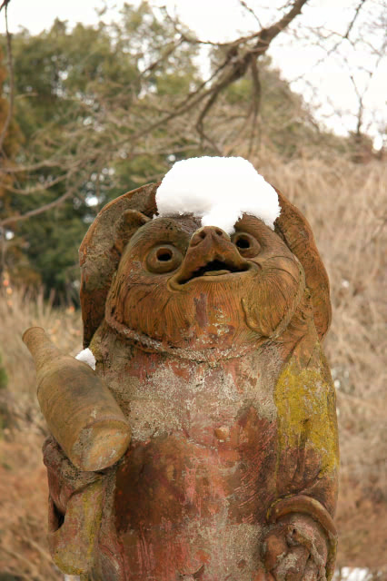 IMG12_4482se.jpg