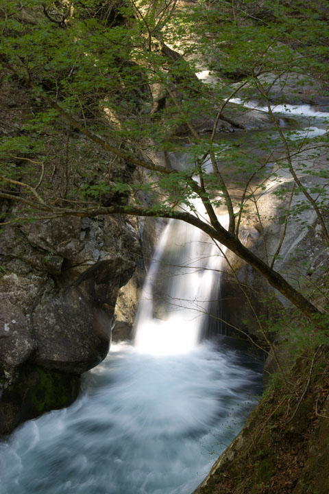IMG05_7770.jpg