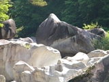 昇仙峡 富士石と甌穴